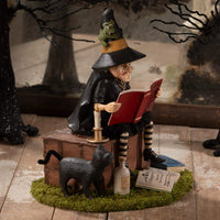 Witch Ghost Stories - Bethany Lowe