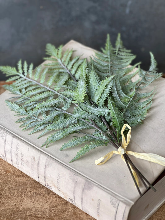 20" Sawtooth| Longacre Fern Bundle