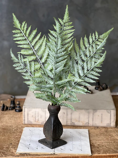 20" Sawtooth| Longacre Fern Bundle