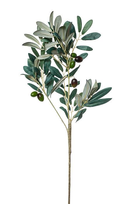 28" Olive Spray Green Burgundy