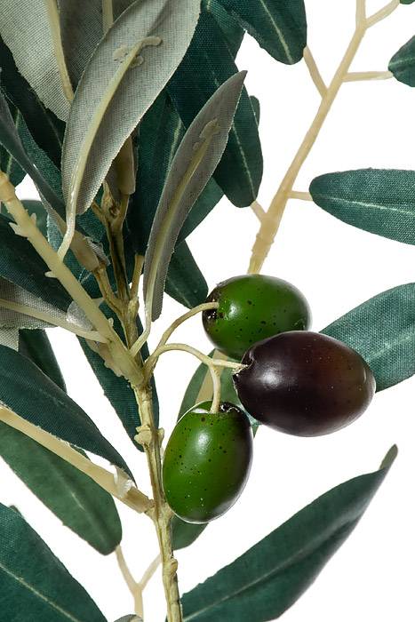28" Olive Spray Green Burgundy