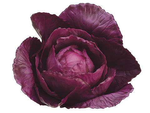 4" Faux Baby Purple Cabbage