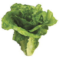 6" Real Touch Green Lettuce Plant Decor
