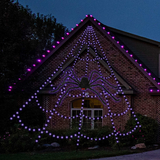 Giant Color Change Spiderweb with Spider