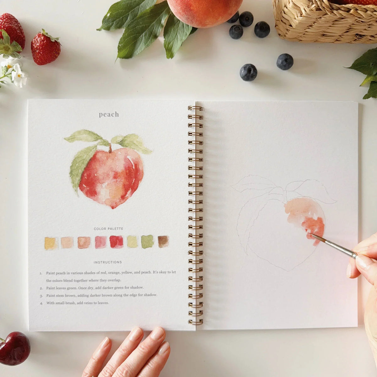Fruit Watercolor Artbook