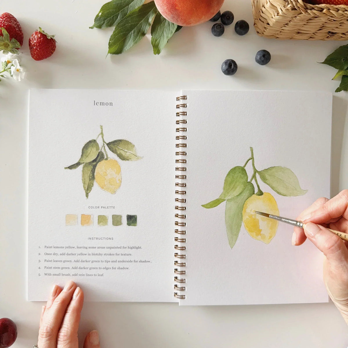 Fruit Watercolor Artbook