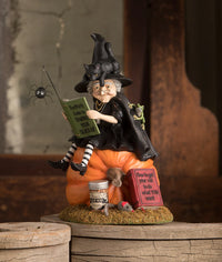 Witch How To Train Your Black Cat - Bethany Lowe