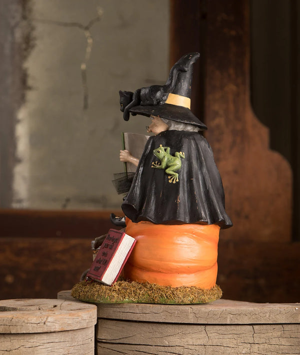 Witch How To Train Your Black Cat - Bethany Lowe