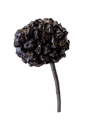 12" Palm Fruit Pick (CLR)