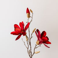 26" Velvet Red Magnolia Spray