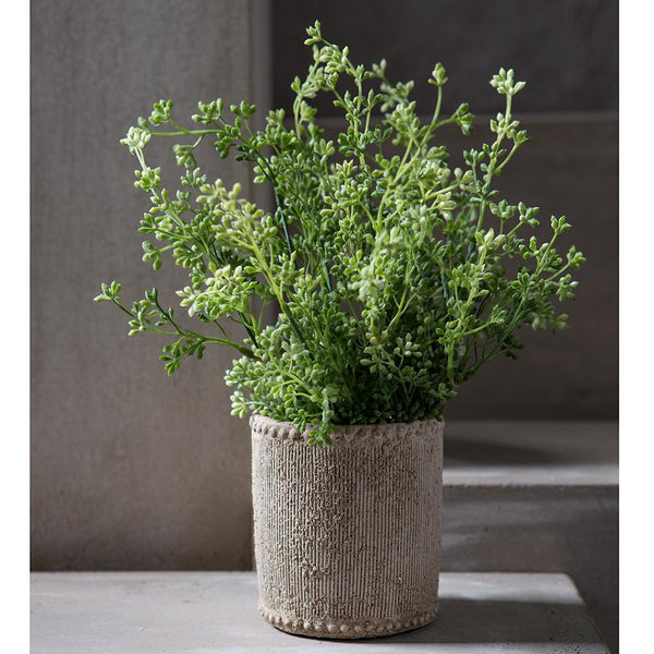 17" Green Grey Eucalyptus Seed Bush