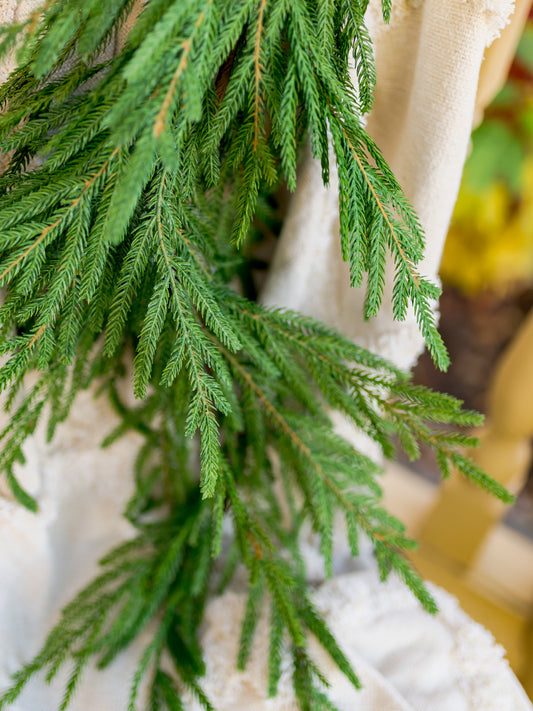 36" Real Touch Cypress Door Swag, Green