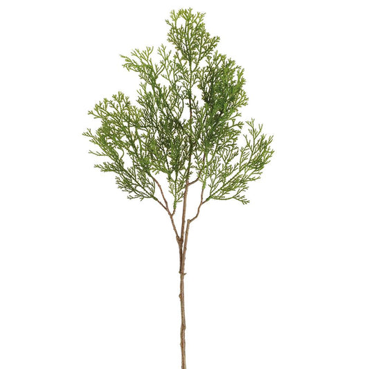 33.75" Cedar Spray, Green