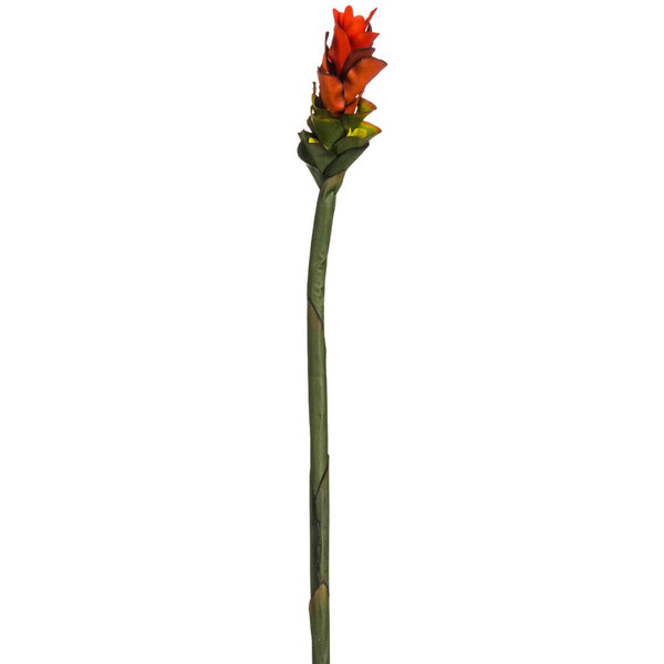 28" Red Ginger Flower Spray
