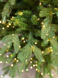 American Green Christmas Tree with Rice LED