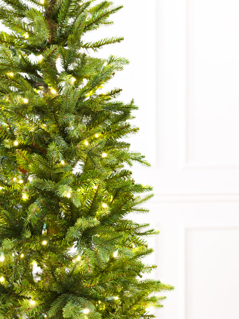 Carolina Frasier Fir Slender Christmas Tree with 5mm RGBWW