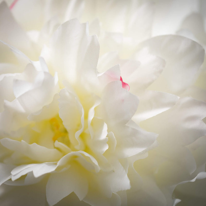 34" Cream Peony Spray