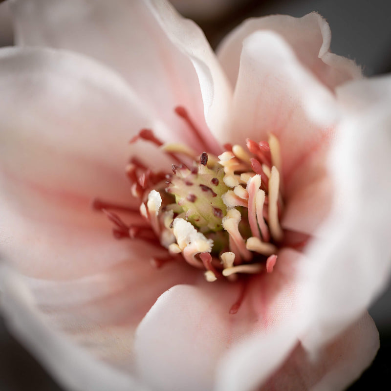 40" Blush Magnolia Spray