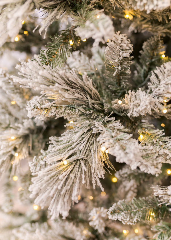 Jackson Flocked Christmas Tree