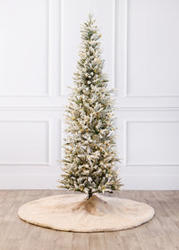 Tacoma Frosted Christmas Tree
