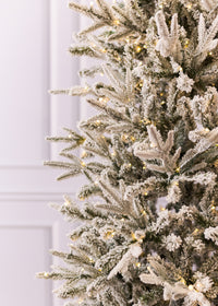 Tacoma Frosted Christmas Tree