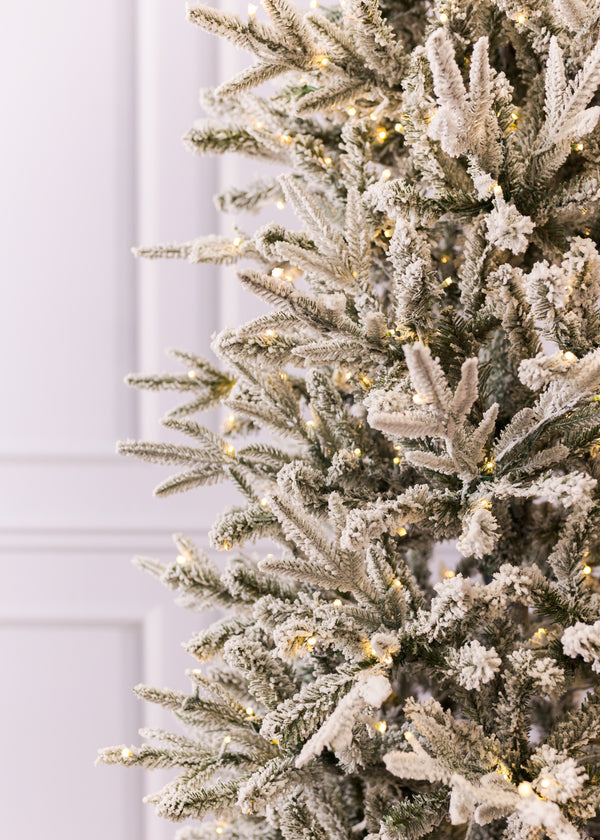 Tacoma Frosted Christmas Tree
