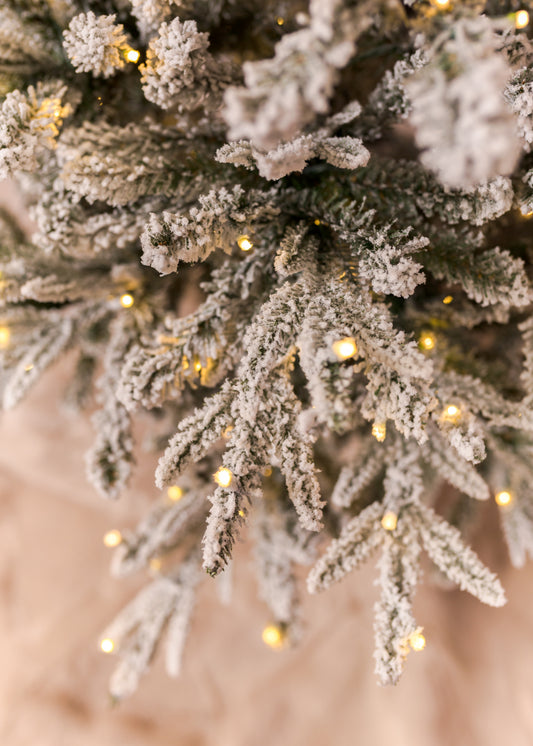 Tacoma Frosted Christmas Tree