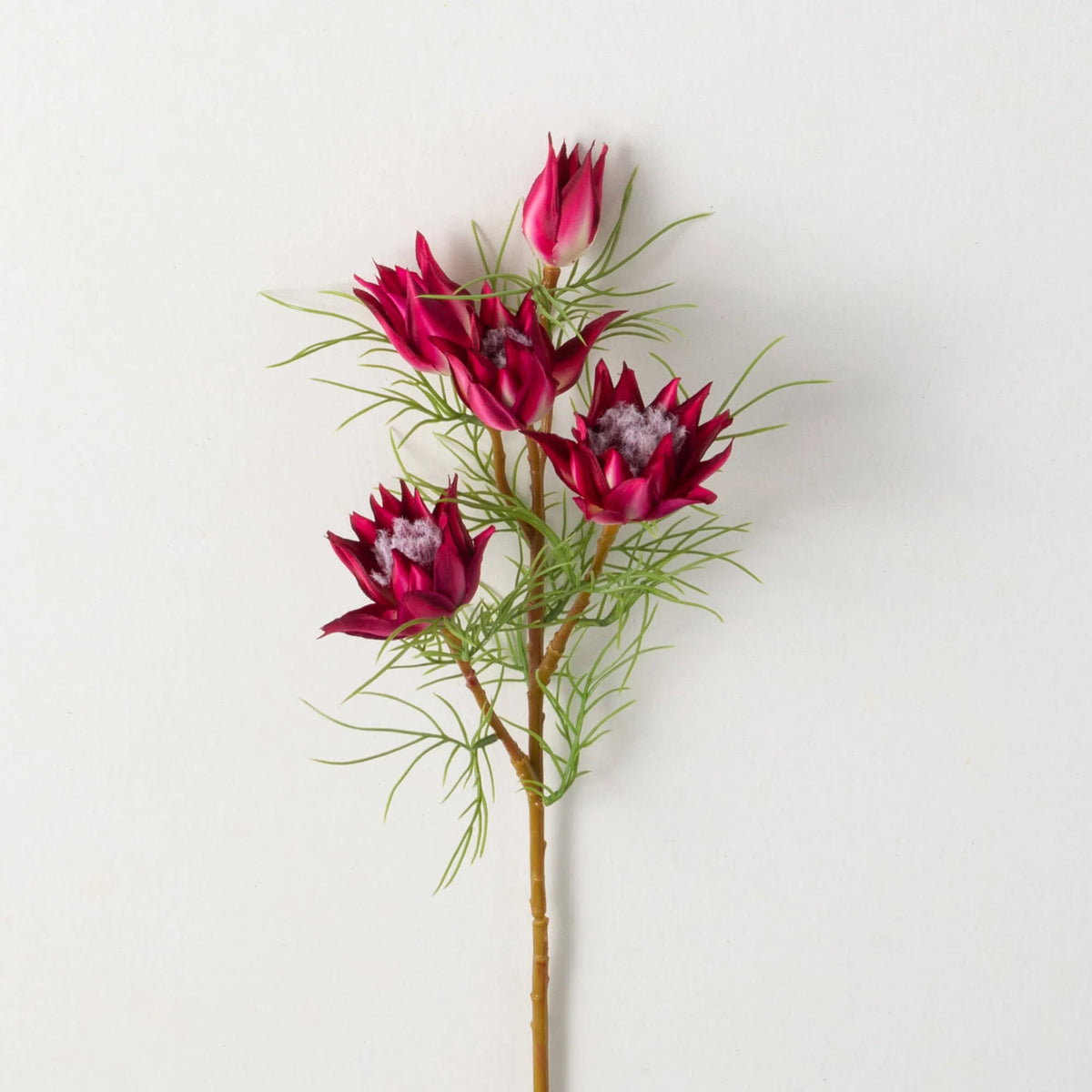 23" Burgundy Mini Protea Spray