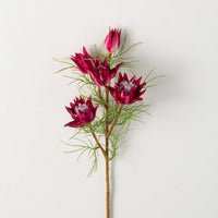 23" Burgundy Mini Protea Spray