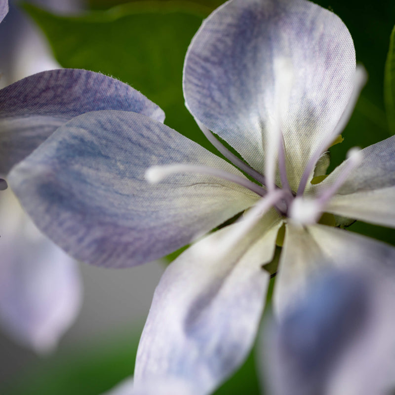 41" Lavender Peach Blossom Spray