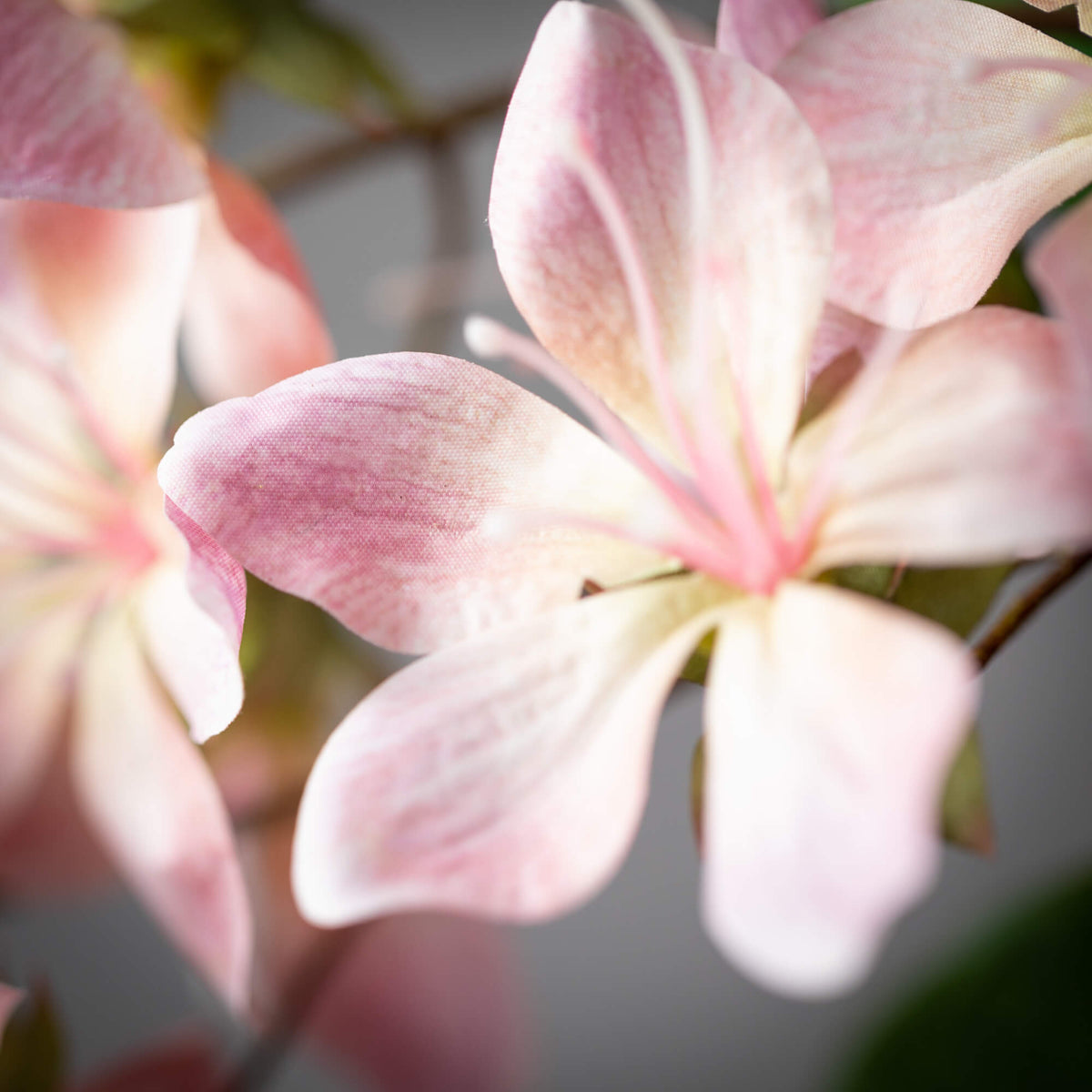 41" Pink Peach Blossom Spray
