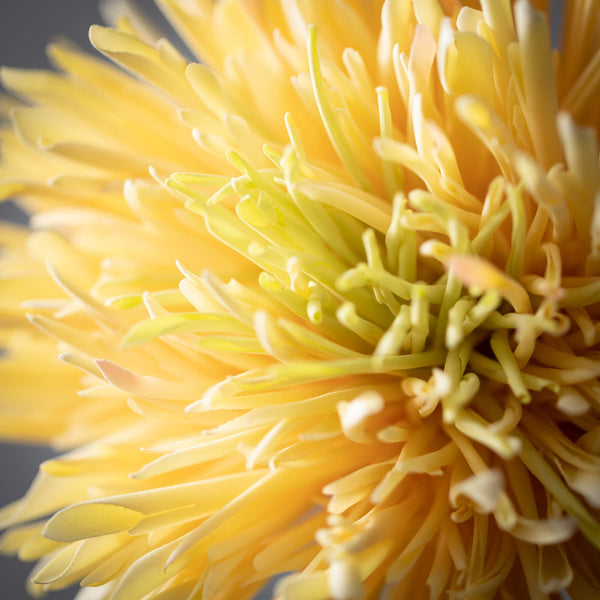 23" Yellow Chrysanthemum Spray