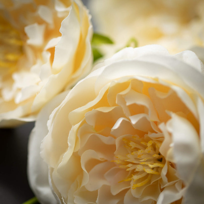 42" Ivory Rose Spray