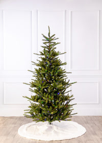 Grand Spruce Slender Color-Change Christmas Tree with 3m LED