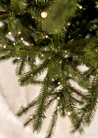 Grand Spruce Slender Color-Change Christmas Tree with 3m LED