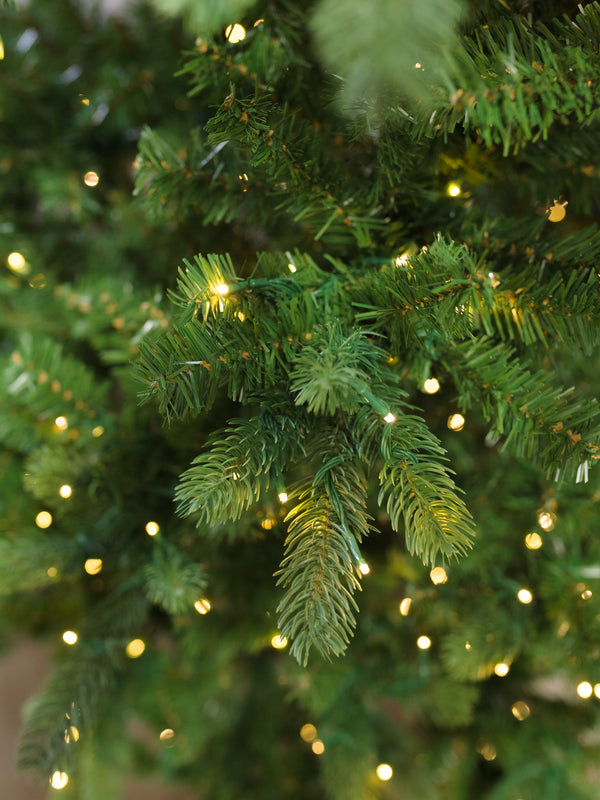 Grand Illumination Christmas Tree