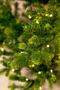 Grand Noble New Christmas Tree with 5mm LED