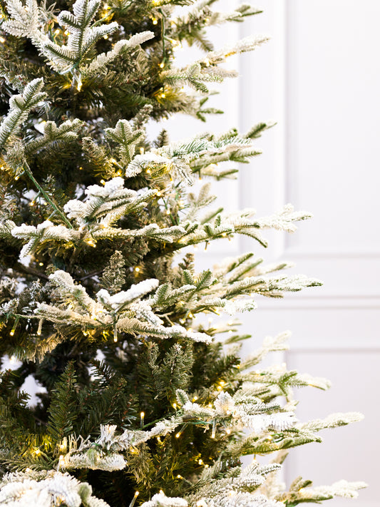 Kamas Frasier Flocked Christmas Tree with 3mm LED