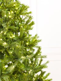 Kensington Fir Christmas Tree with 5mm LED