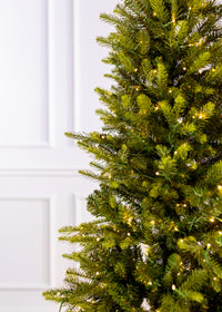 King Pine (Pencil) with 3mm LED Color Changing Christmas Tree