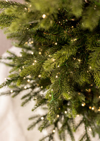 King Pine (Pencil) with 3mm LED Color Changing Christmas Tree