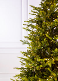King Pine with 3mm LED Color Changing Christmas Tree