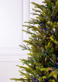 King Pine with 3mm LED Color Changing Christmas Tree