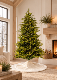 King Pine Christmas Tree
