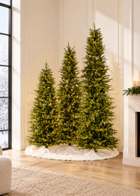King Pine Pencil Christmas Tree