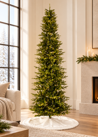 King Pine Pencil Christmas Tree