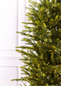King Pine Slim Christmas Tree