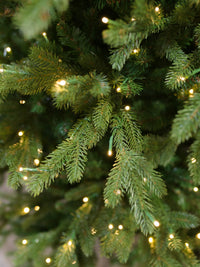 Nature Spruce Christmas Tree 3mm LED 1-2-TREE