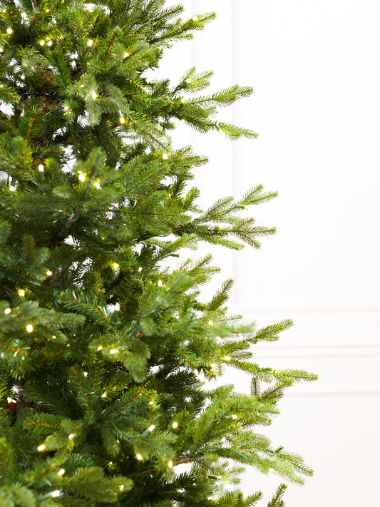 Nordic Fresh Cut Christmas Tree with 5mm LED