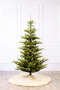 Norwegian Spruce Christmas Tree with 3mm LED